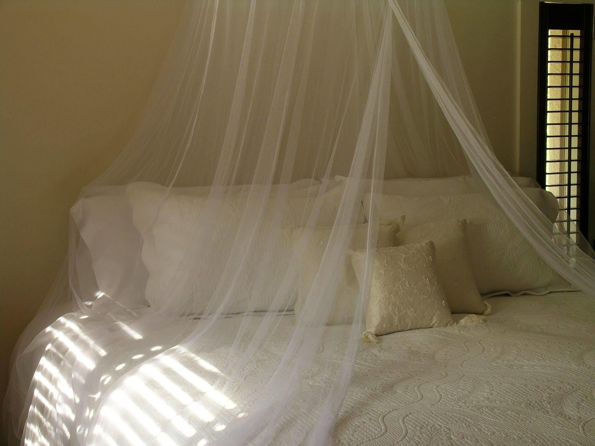 بورت هوب Plantation House Bed & Breakfast المظهر الخارجي الصورة